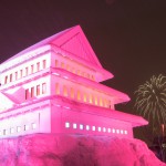 2月事業報告 上杉雪灯篭まつり